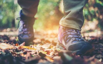 Najlepsze niskie buty trekkingowe męskie – Ranking 2026